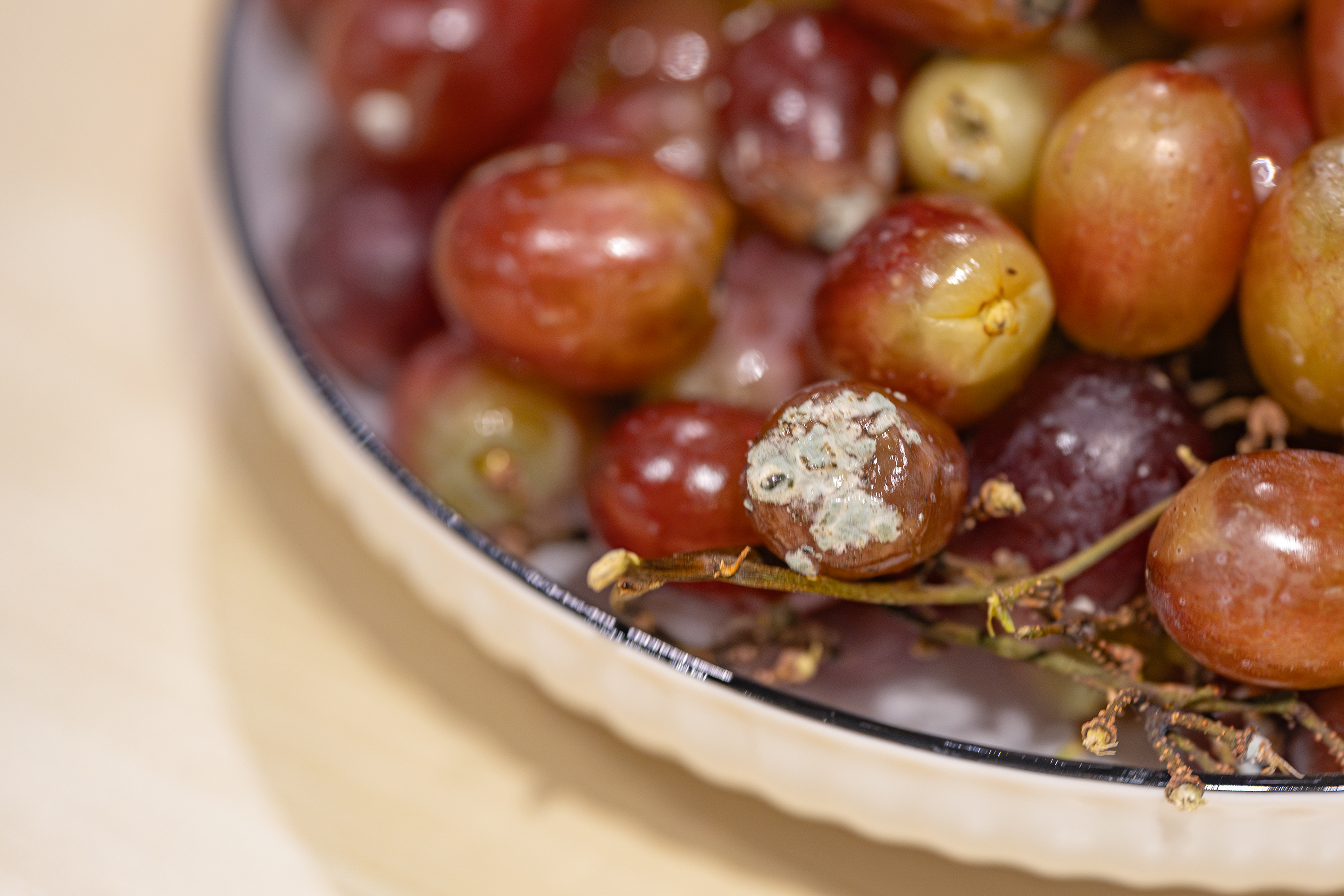 Mold on grapes